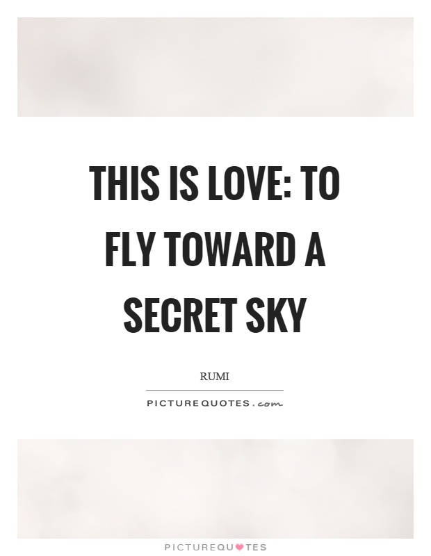 This is love: to fly toward a secret sky Picture Quote #1