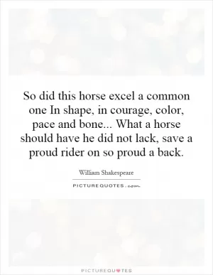 So did this horse excel a common one In shape, in courage, color, pace and bone... What a horse should have he did not lack, save a proud rider on so proud a back Picture Quote #1