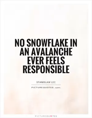 No snowflake in an avalanche ever feels responsible Picture Quote #1