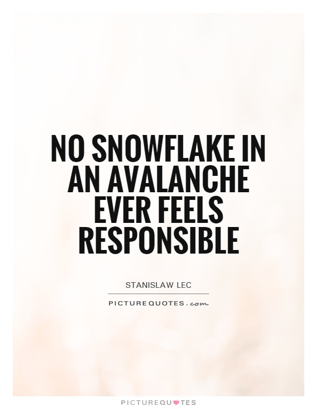 No snowflake in an avalanche ever feels responsible Picture Quote #1