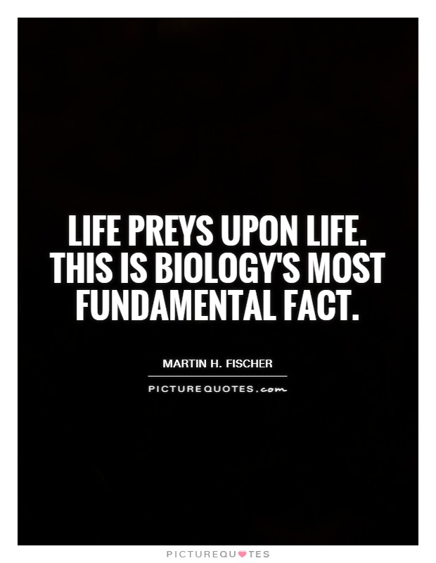 Life preys upon life. This is biology's most fundamental fact Picture Quote #1
