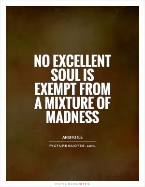 No excellent soul is exempt from a mixture of madness Picture Quote #1