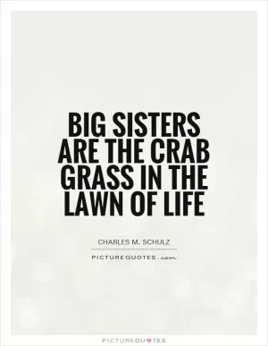 Big sisters are the crab grass in the lawn of life Picture Quote #1