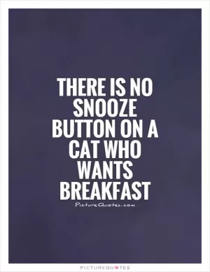 There is no snooze button on a cat who wants breakfast Picture Quote #1