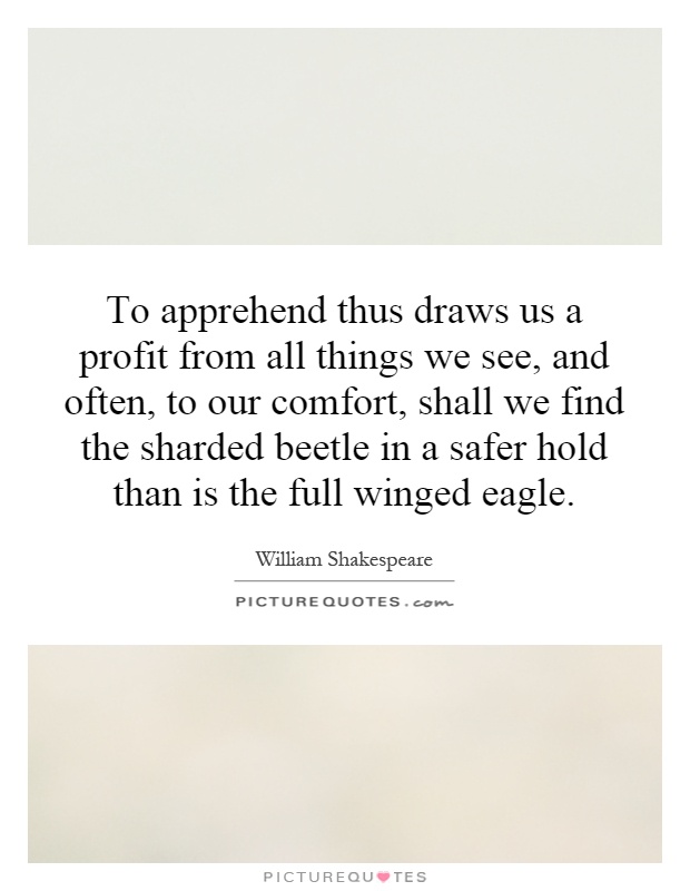 To apprehend thus draws us a profit from all things we see, and often, to our comfort, shall we find the sharded beetle in a safer hold than is the full winged eagle Picture Quote #1