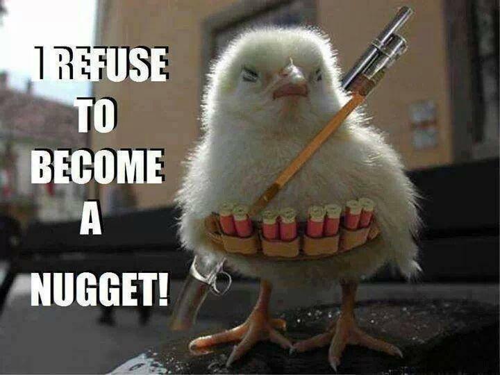 I refuse to become a nugget! Picture Quote #1