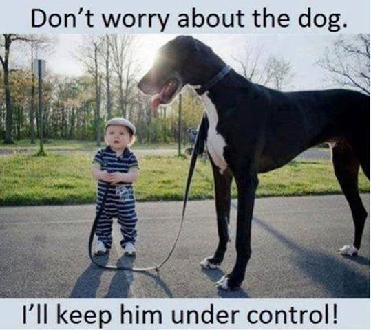Don't worry about the dog. I'll keep him under control Picture Quote #1