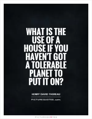 What is the use of a house if you haven't got a tolerable planet to put it on? Picture Quote #1