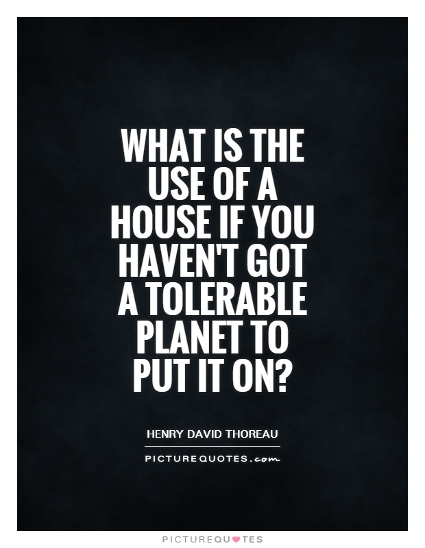 What is the use of a house if you haven't got a tolerable planet to put it on? Picture Quote #1