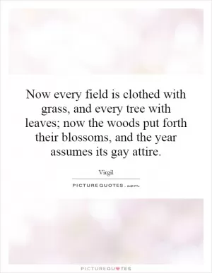 Now every field is clothed with grass, and every tree with leaves; now the woods put forth their blossoms, and the year assumes its gay attire Picture Quote #1