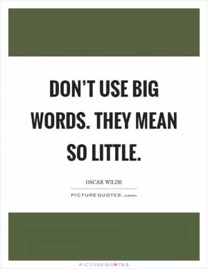 Don’t use big words. They mean so little Picture Quote #1