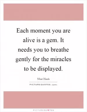Each moment you are alive is a gem. It needs you to breathe gently for the miracles to be displayed Picture Quote #1