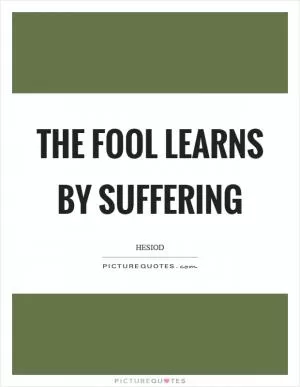 The fool learns by suffering Picture Quote #1