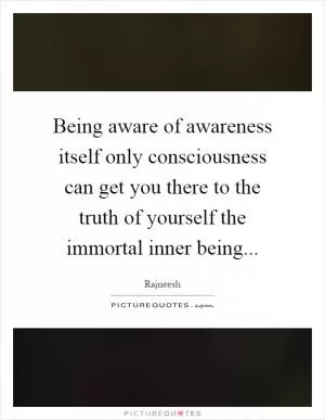 Being aware of awareness itself only consciousness can get you there to the truth of yourself the immortal inner being Picture Quote #1