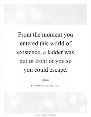 From the moment you entered this world of existence, a ladder was put in front of you so you could escape Picture Quote #1