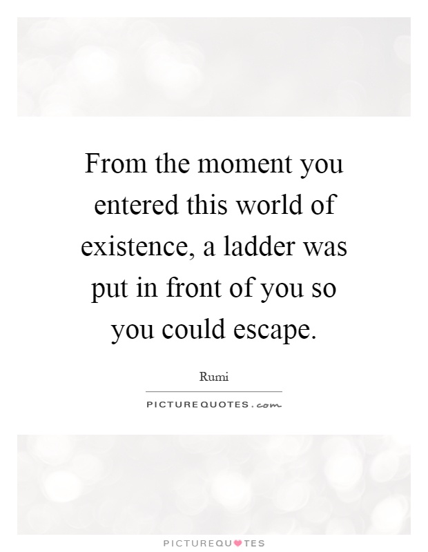 From the moment you entered this world of existence, a ladder was put in front of you so you could escape Picture Quote #1