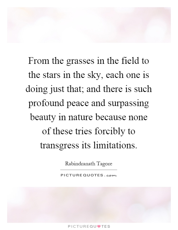 From the grasses in the field to the stars in the sky, each one is doing just that; and there is such profound peace and surpassing beauty in nature because none of these tries forcibly to transgress its limitations Picture Quote #1