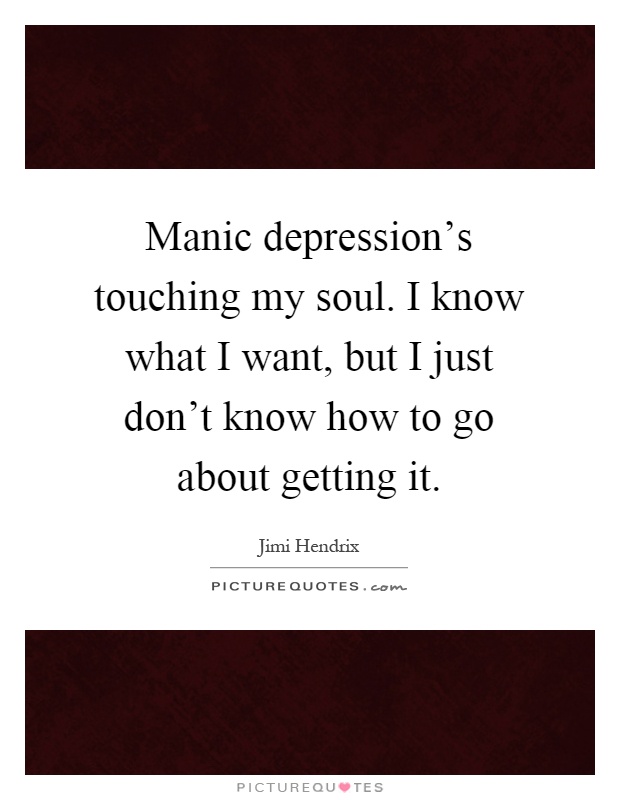 Manic depression's touching my soul. I know what I want, but I just don't know how to go about getting it Picture Quote #1