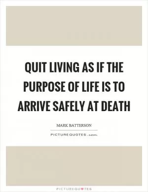 Quit living as if the purpose of life is to arrive safely at death Picture Quote #1
