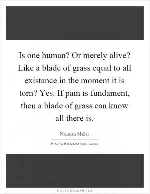 Is one human? Or merely alive? Like a blade of grass equal to all existance in the moment it is torn? Yes. If pain is fundament, then a blade of grass can know all there is Picture Quote #1