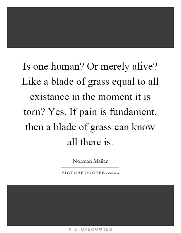 Is one human? Or merely alive? Like a blade of grass equal to all existance in the moment it is torn? Yes. If pain is fundament, then a blade of grass can know all there is Picture Quote #1