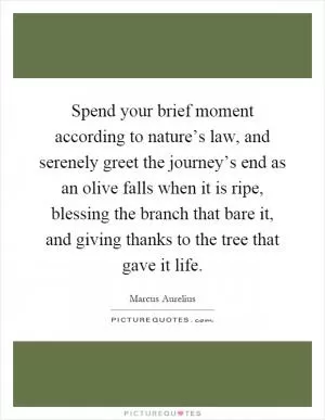 Spend your brief moment according to nature’s law, and serenely greet the journey’s end as an olive falls when it is ripe, blessing the branch that bare it, and giving thanks to the tree that gave it life Picture Quote #1