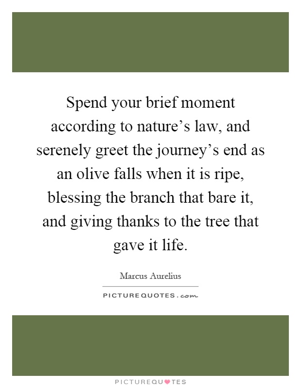 Spend your brief moment according to nature's law, and serenely greet the journey's end as an olive falls when it is ripe, blessing the branch that bare it, and giving thanks to the tree that gave it life Picture Quote #1