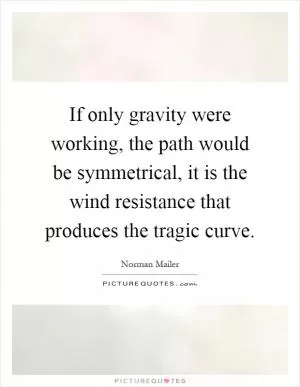 If only gravity were working, the path would be symmetrical, it is the wind resistance that produces the tragic curve Picture Quote #1