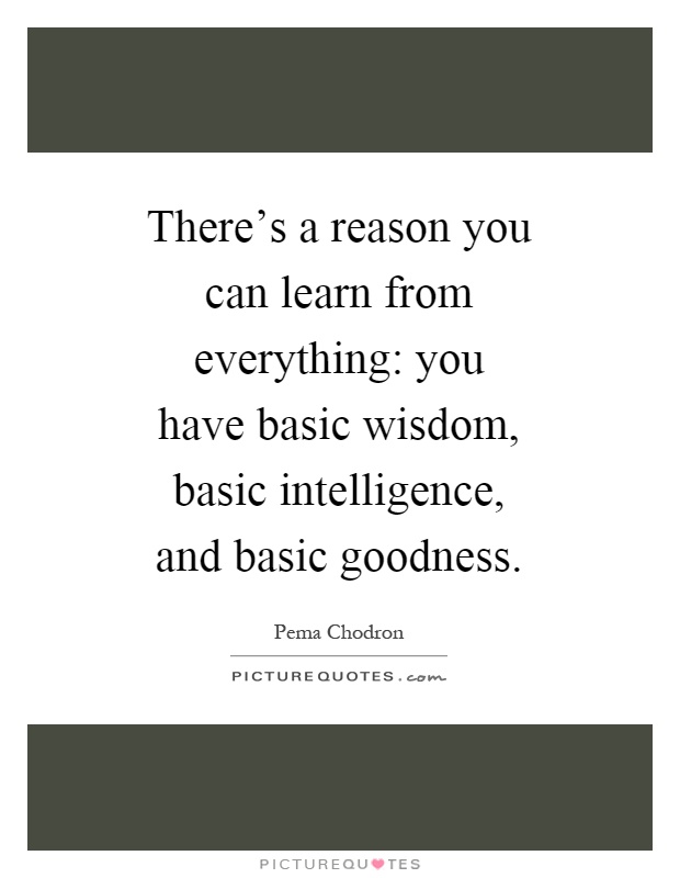 There's a reason you can learn from everything: you have basic wisdom, basic intelligence, and basic goodness Picture Quote #1