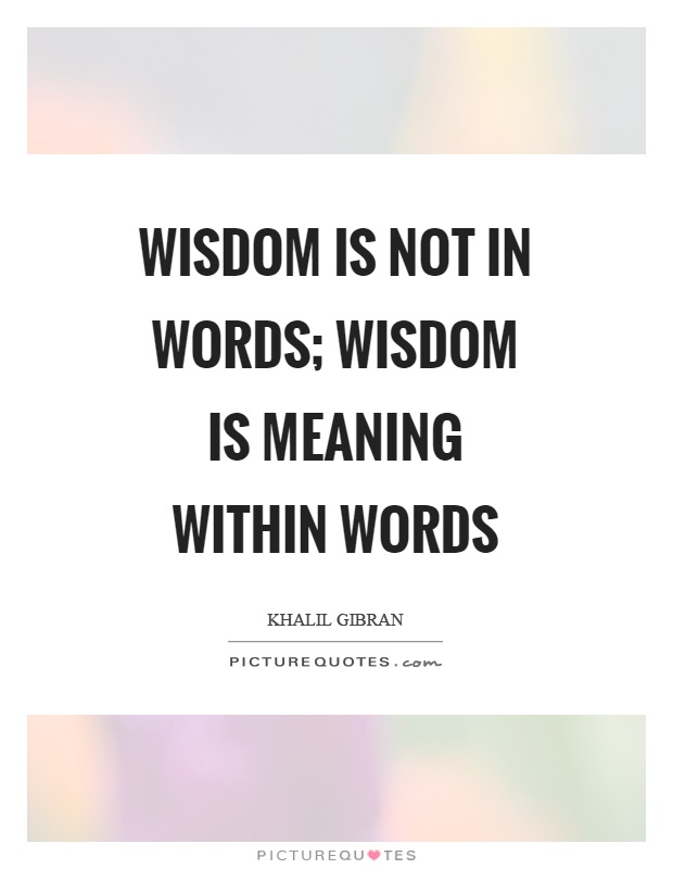 Wisdom is not in words; Wisdom is meaning within words Picture Quote #1