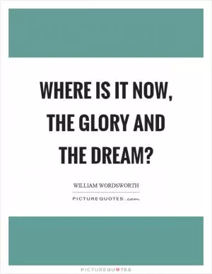 Where is it now, the glory and the dream? Picture Quote #1