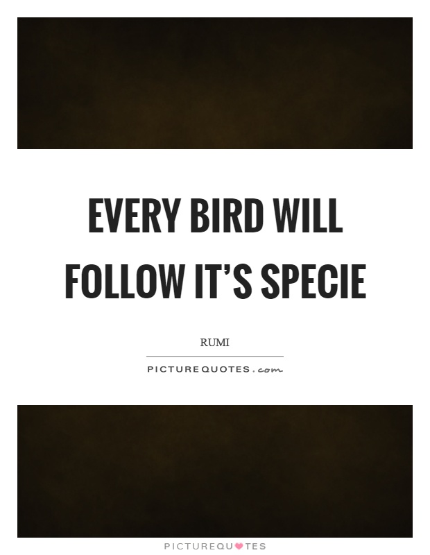 Every bird will follow it's specie Picture Quote #1