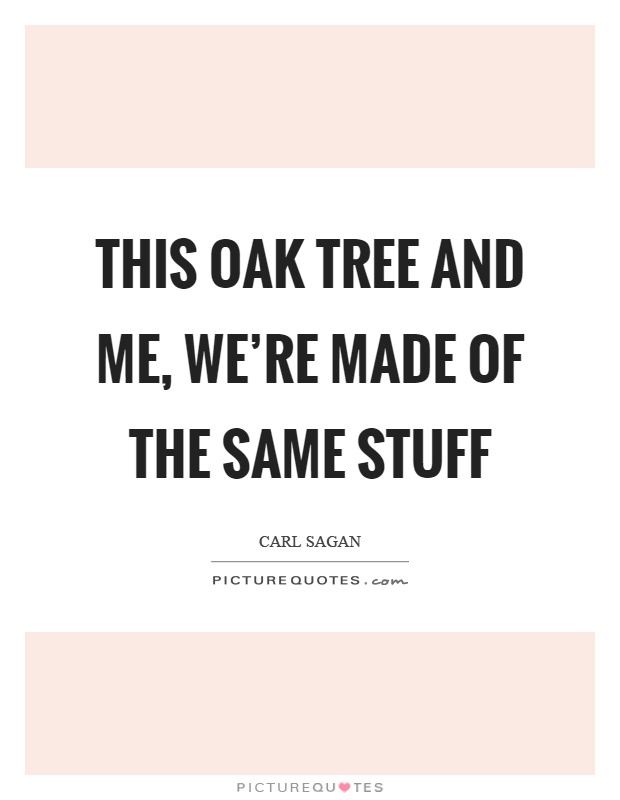 This oak tree and me, we're made of the same stuff Picture Quote #1