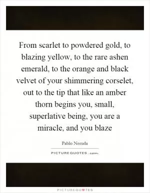 From scarlet to powdered gold, to blazing yellow, to the rare ashen emerald, to the orange and black velvet of your shimmering corselet, out to the tip that like an amber thorn begins you, small, superlative being, you are a miracle, and you blaze Picture Quote #1
