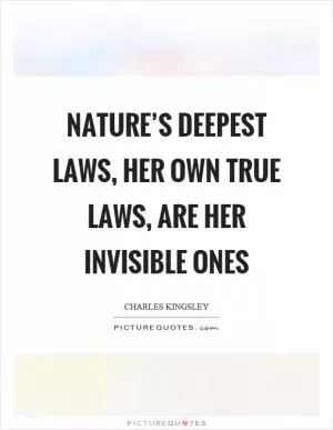 Nature’s deepest laws, her own true laws, are her invisible ones Picture Quote #1