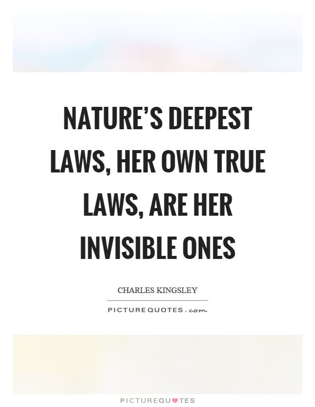 Nature's deepest laws, her own true laws, are her invisible ones Picture Quote #1