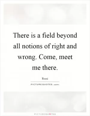 There is a field beyond all notions of right and wrong. Come, meet me there Picture Quote #1