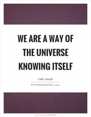We are a way of the universe knowing itself Picture Quote #1