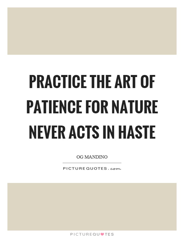 Practice the art of patience for nature never acts in haste Picture Quote #1
