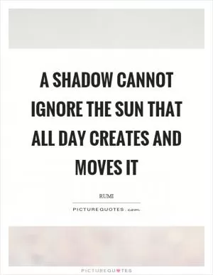 A shadow cannot ignore the sun that all day creates and moves it Picture Quote #1