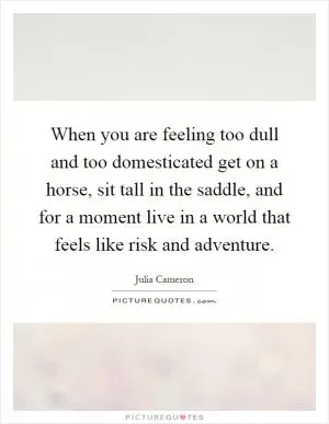When you are feeling too dull and too domesticated get on a horse, sit tall in the saddle, and for a moment live in a world that feels like risk and adventure Picture Quote #1