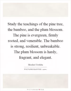 Study the teachings of the pine tree, the bamboo, and the plum blossom. The pine is evergreen, firmly rooted, and venerable. The bamboo is strong, resilient, unbreakable. The plum blossom is hardy, fragrant, and elegant Picture Quote #1