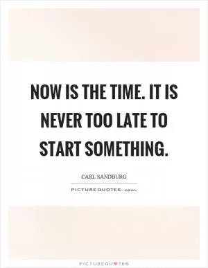 Now is the time. It is never too late to start something Picture Quote #1