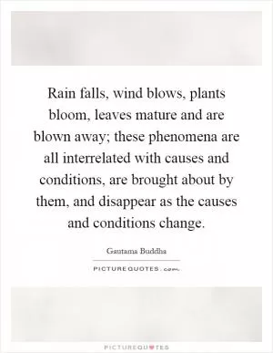 Rain falls, wind blows, plants bloom, leaves mature and are blown away; these phenomena are all interrelated with causes and conditions, are brought about by them, and disappear as the causes and conditions change Picture Quote #1