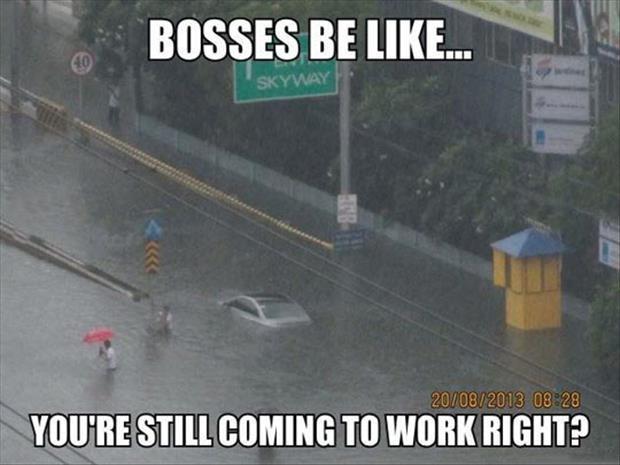 Bosses be like... you're still coming to work right? Picture Quote #1