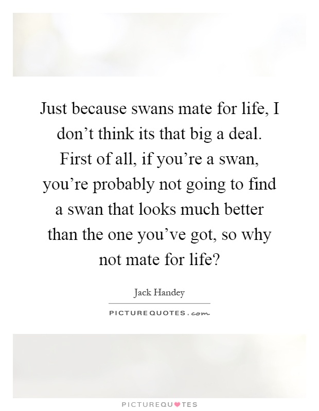 Just because swans mate for life, I don't think its that big a deal. First of all, if you're a swan, you're probably not going to find a swan that looks much better than the one you've got, so why not mate for life? Picture Quote #1