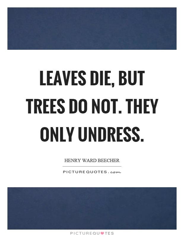 Leaves die, but trees do not. They only undress Picture Quote #1