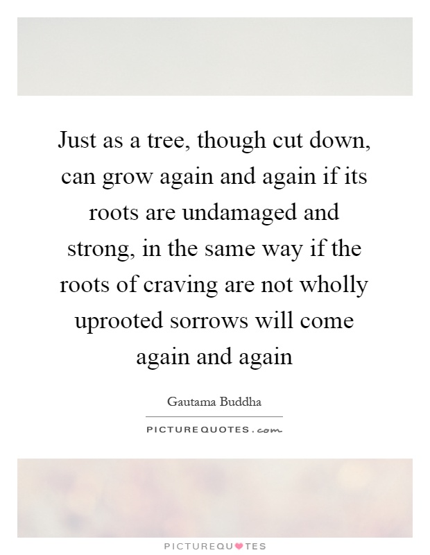 Just as a tree, though cut down, can grow again and again if its roots are undamaged and strong, in the same way if the roots of craving are not wholly uprooted sorrows will come again and again Picture Quote #1