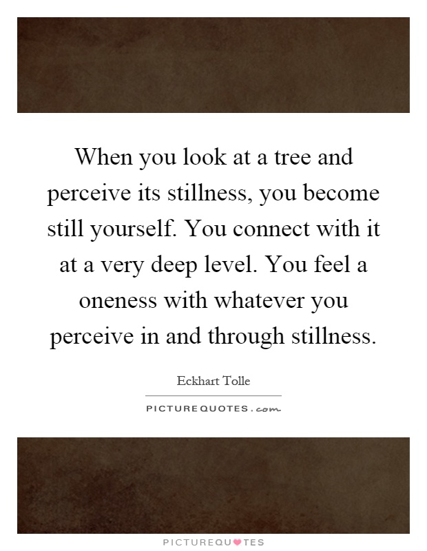 When you look at a tree and perceive its stillness, you become still yourself. You connect with it at a very deep level. You feel a oneness with whatever you perceive in and through stillness Picture Quote #1