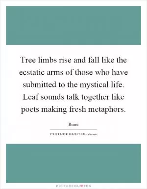 Tree limbs rise and fall like the ecstatic arms of those who have submitted to the mystical life. Leaf sounds talk together like poets making fresh metaphors Picture Quote #1